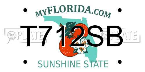 T712SB Florida License Plate