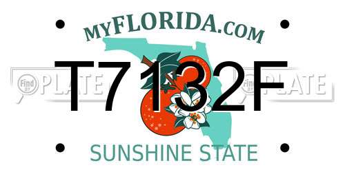 T7132F Florida License Plate