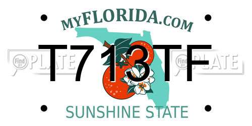 T713TF Florida License Plate