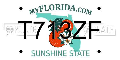 T713ZF Florida License Plate