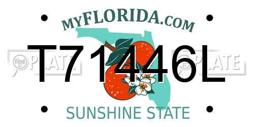 T71446L Florida License Plate