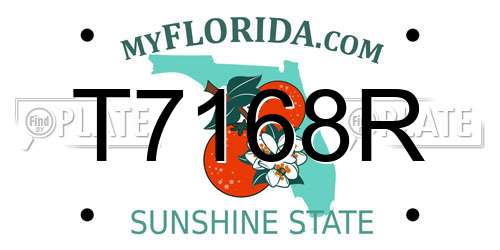 T7168R Florida License Plate
