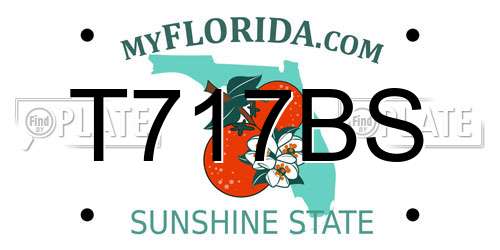 T717BS Florida License Plate