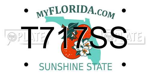 T717SS Florida License Plate