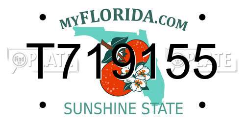 T719155 Florida License Plate