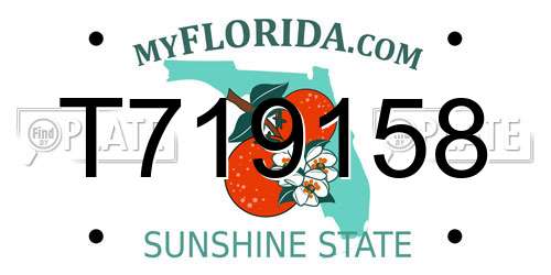 T719158 Florida License Plate