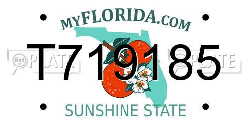 T719185 Florida License Plate