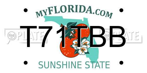 T71TBB Florida License Plate