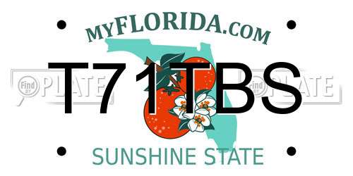 T71TBS Florida License Plate