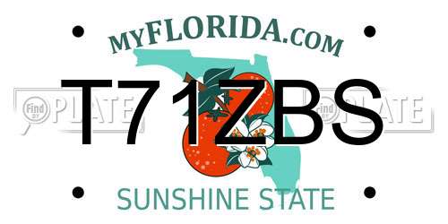 T71ZBS Florida License Plate