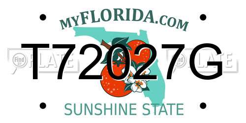 T72027G Florida License Plate