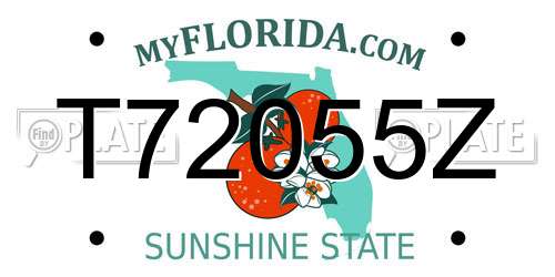 T72055Z Florida License Plate