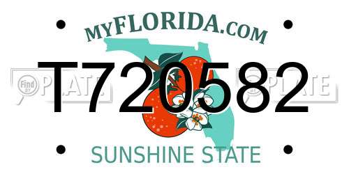 T720582 Florida License Plate