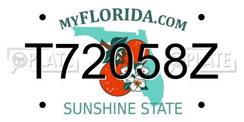 T72058Z Florida License Plate