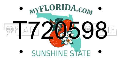 T720598 Florida License Plate