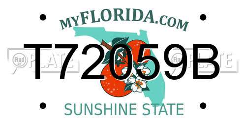 T72059B Florida License Plate