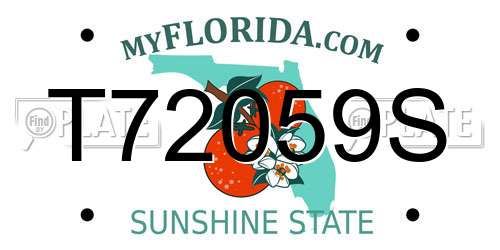 T72059S Florida License Plate