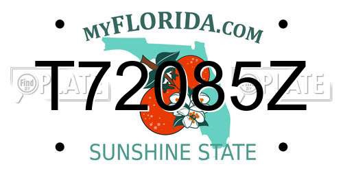 T72085Z Florida License Plate