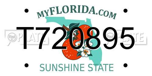 T720895 Florida License Plate