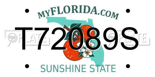 T72089S Florida License Plate
