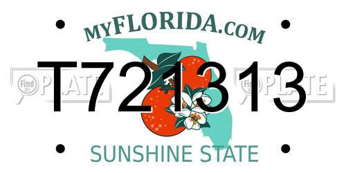 T721313 Florida License Plate