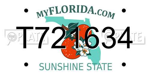 T721634 Florida License Plate