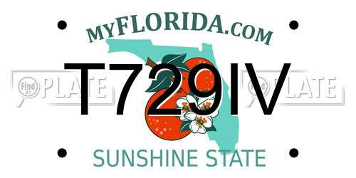 T729IV Florida License Plate