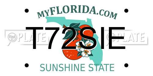T72SIE Florida License Plate