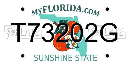 T73202G Florida License Plate