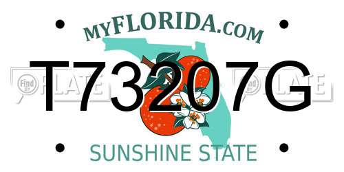 T73207G Florida License Plate