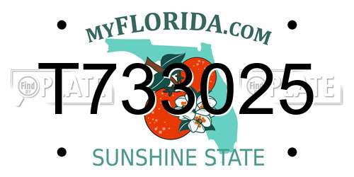 T733025 Florida License Plate