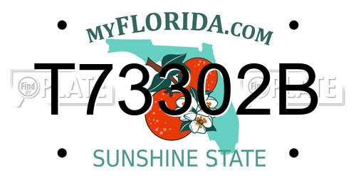 T73302B Florida License Plate