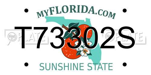 T73302S Florida License Plate
