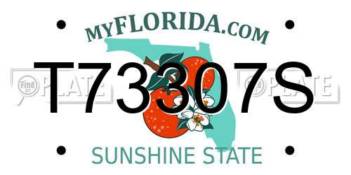 T73307S Florida License Plate