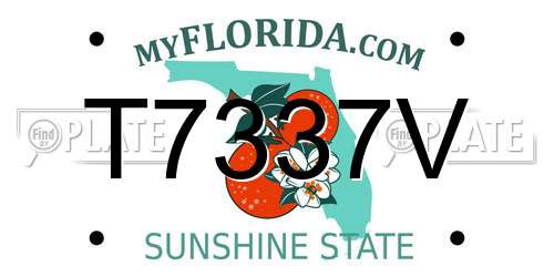 T7337V Florida License Plate