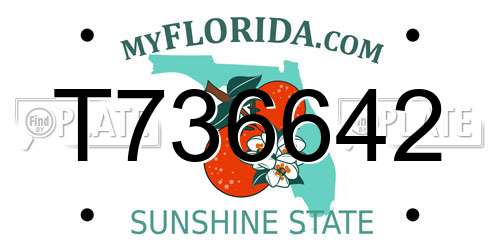 T736642 Florida License Plate