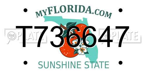 T736647 Florida License Plate