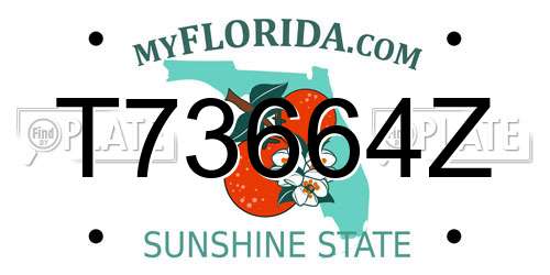 T73664Z Florida License Plate