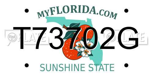 T73702G Florida License Plate