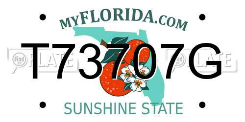 T73707G Florida License Plate