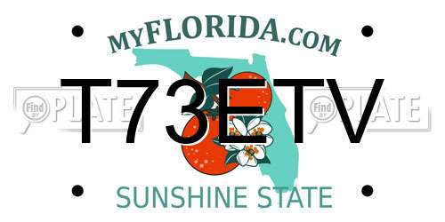 T73ETV Florida License Plate