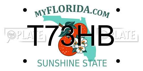 T73HB Florida License Plate