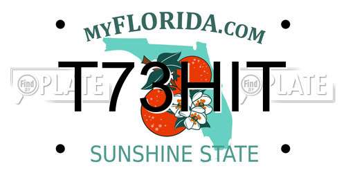 T73HIT Florida License Plate