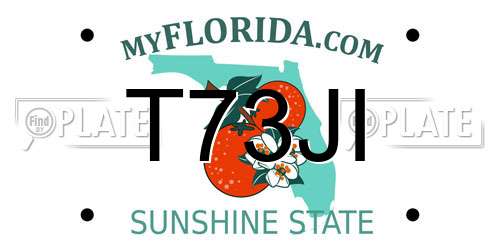 T73JI Florida License Plate