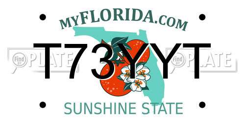 T73YYT Florida License Plate
