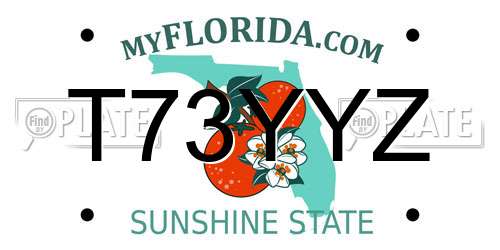 T73YYZ Florida License Plate