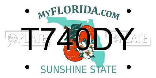 T740DY Florida License Plate