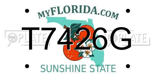 T7426G Florida License Plate