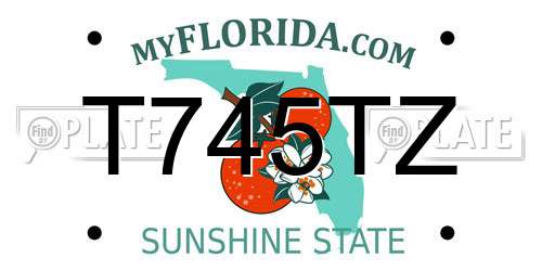 T745TZ Florida License Plate