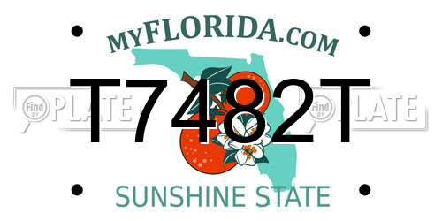T7482T Florida License Plate